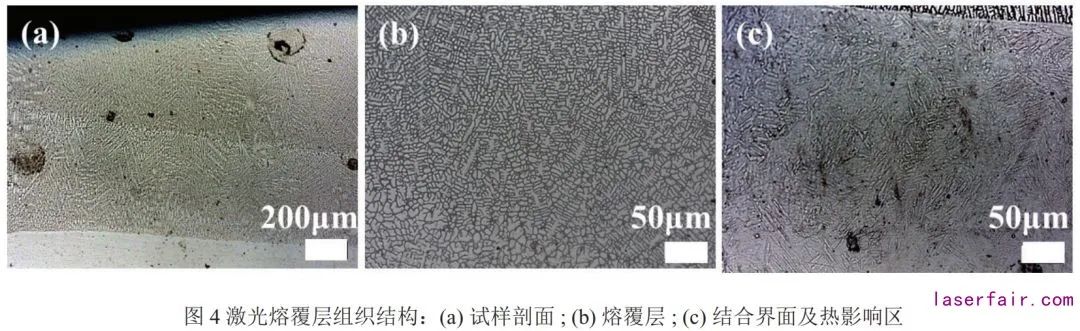 激光熔覆层组织结构 激光熔覆层组织结构